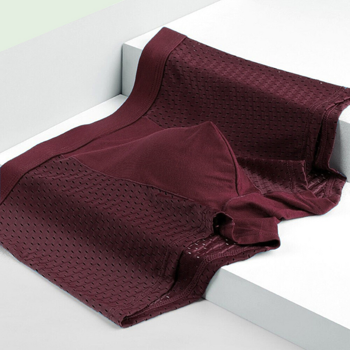 Heren Bamboe Boxers (Set van 10) - Daan