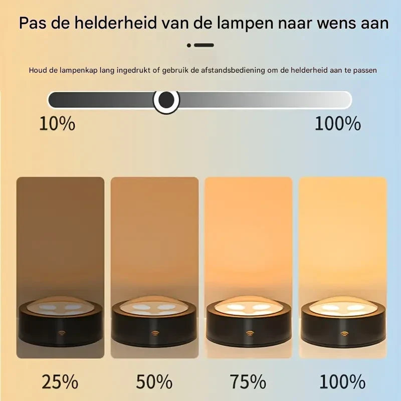 FrameLight | Geef uw schilderijen direct een luxe galerie-uitstraling | 1+2 gratis