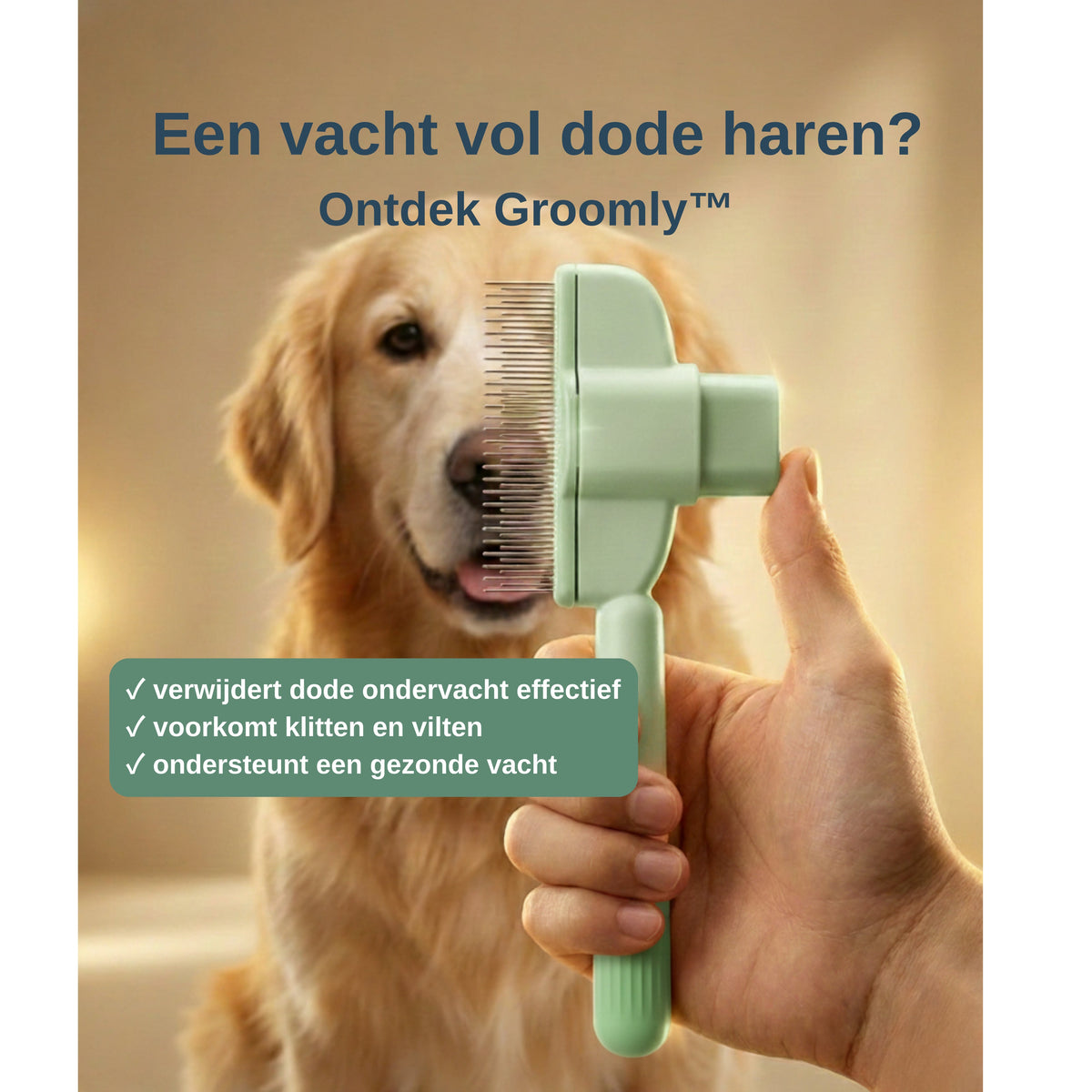 Groomly kam hond en kat — verwijdert losse haren, klitten en vlooien