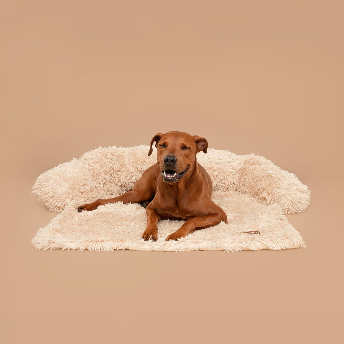 Origineel Pelsbarn Bed + gratis beige kalmerend deken