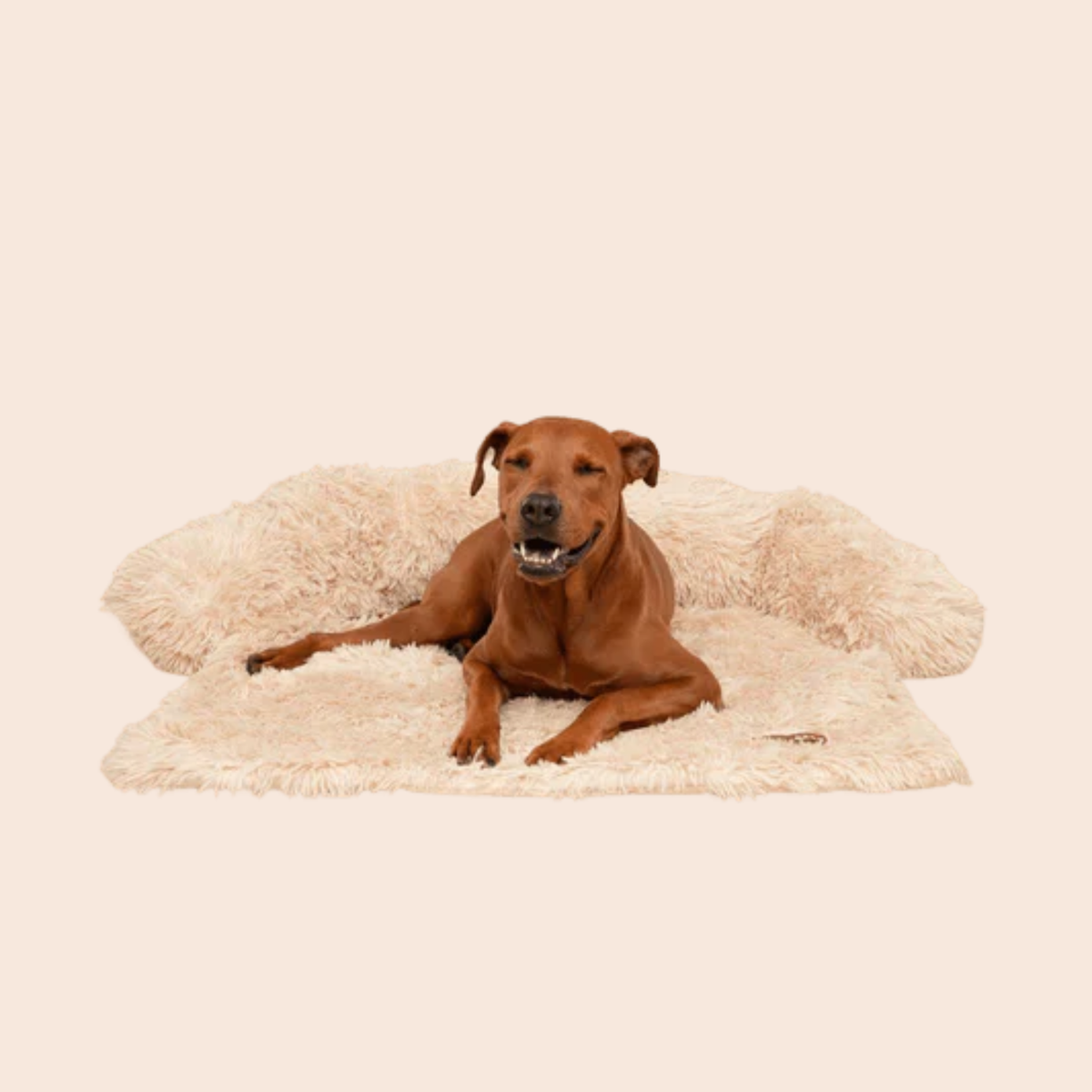 Origineel Pelsbarn Bed + gratis beige kalmerend deken