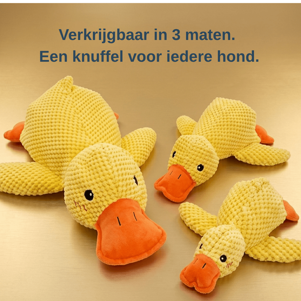 CalmiDuck antistress hondenspeelgoed — per 2 stuks