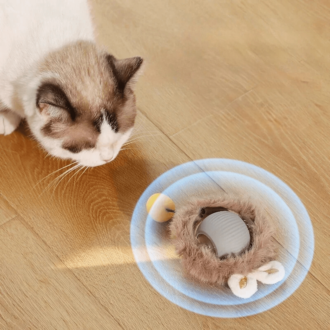 Tiko | Automatische speelbal voor katten en kleine honden