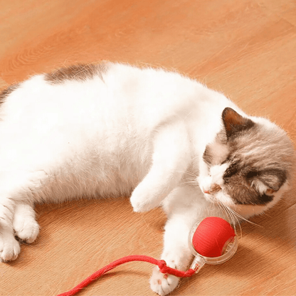 Tiko | Automatische speelbal voor katten en kleine honden