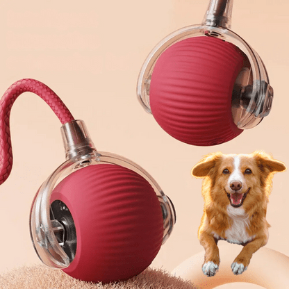 Tiko | Automatische speelbal voor katten en kleine honden