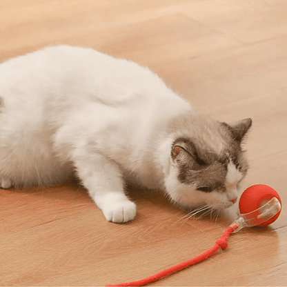 Tiko | Automatische speelbal voor katten en kleine honden