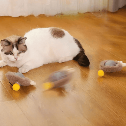 Tiko | Automatische speelbal voor katten en kleine honden