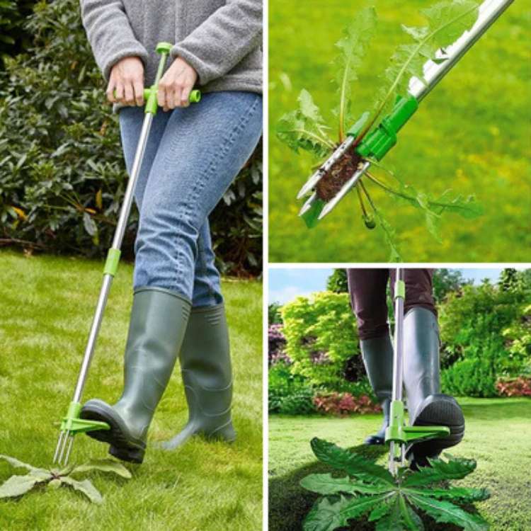 WeedClaw Staande Onkruidtrekker met Stalen Wortelgrijper